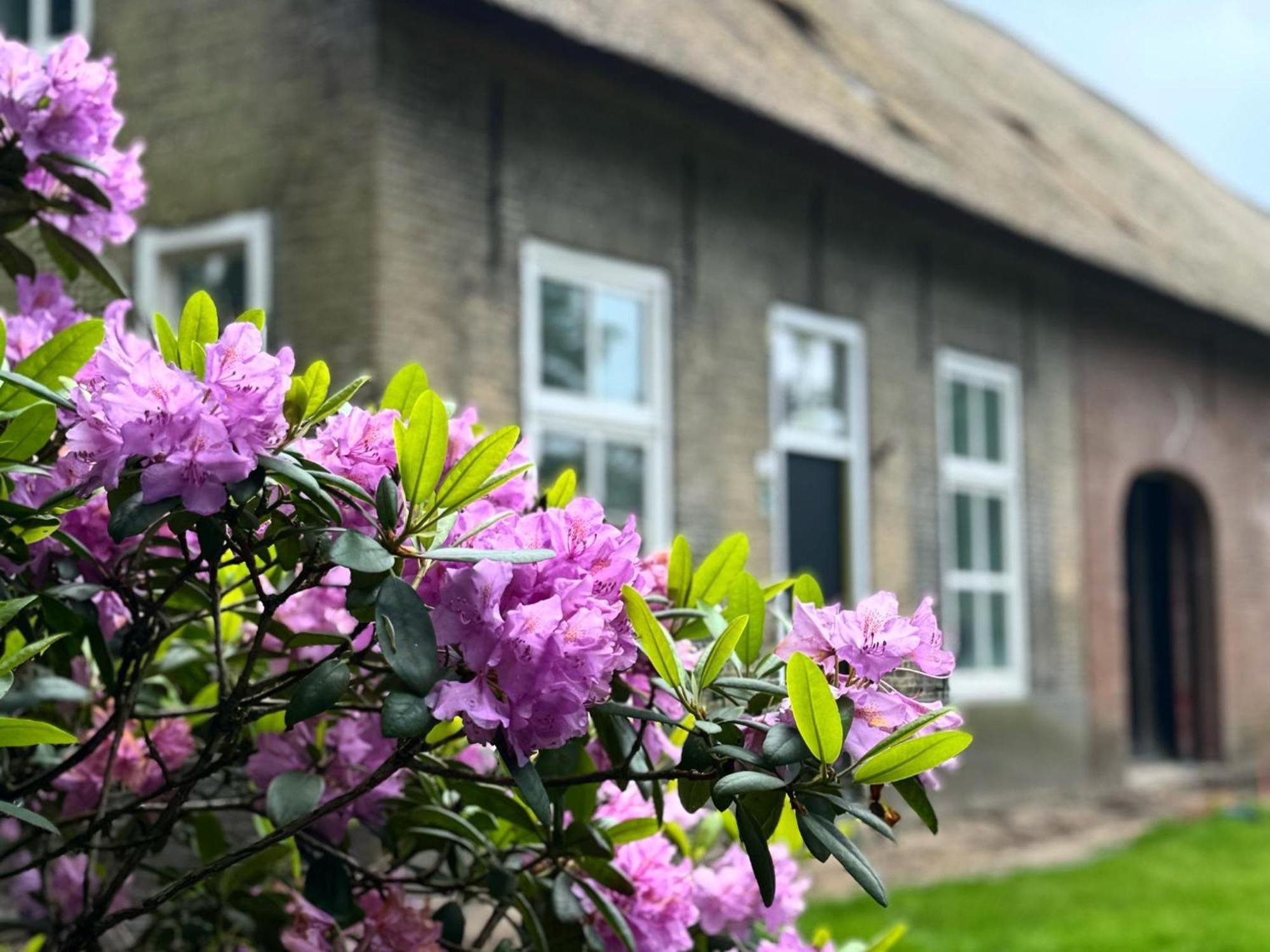 Het Hoevehuys Wagenberg Zewnętrze zdjęcie